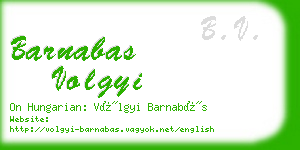 barnabas volgyi business card